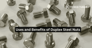 Duplex Steel Nuts